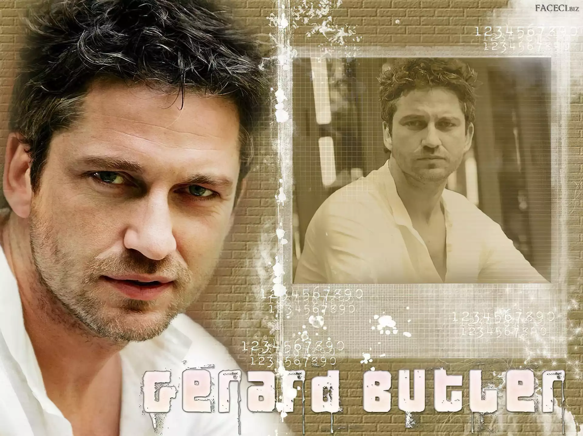 broda, Gerard Butler, niebieskie oczy