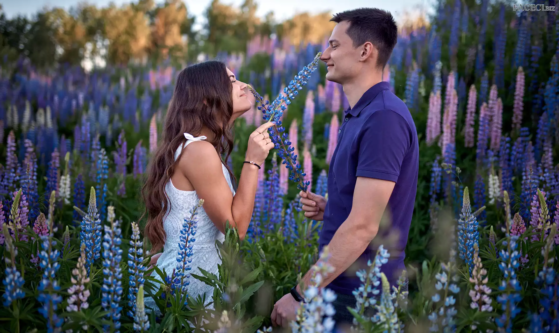 Kobieta, Łubin, Ludzie, Mężczyzna