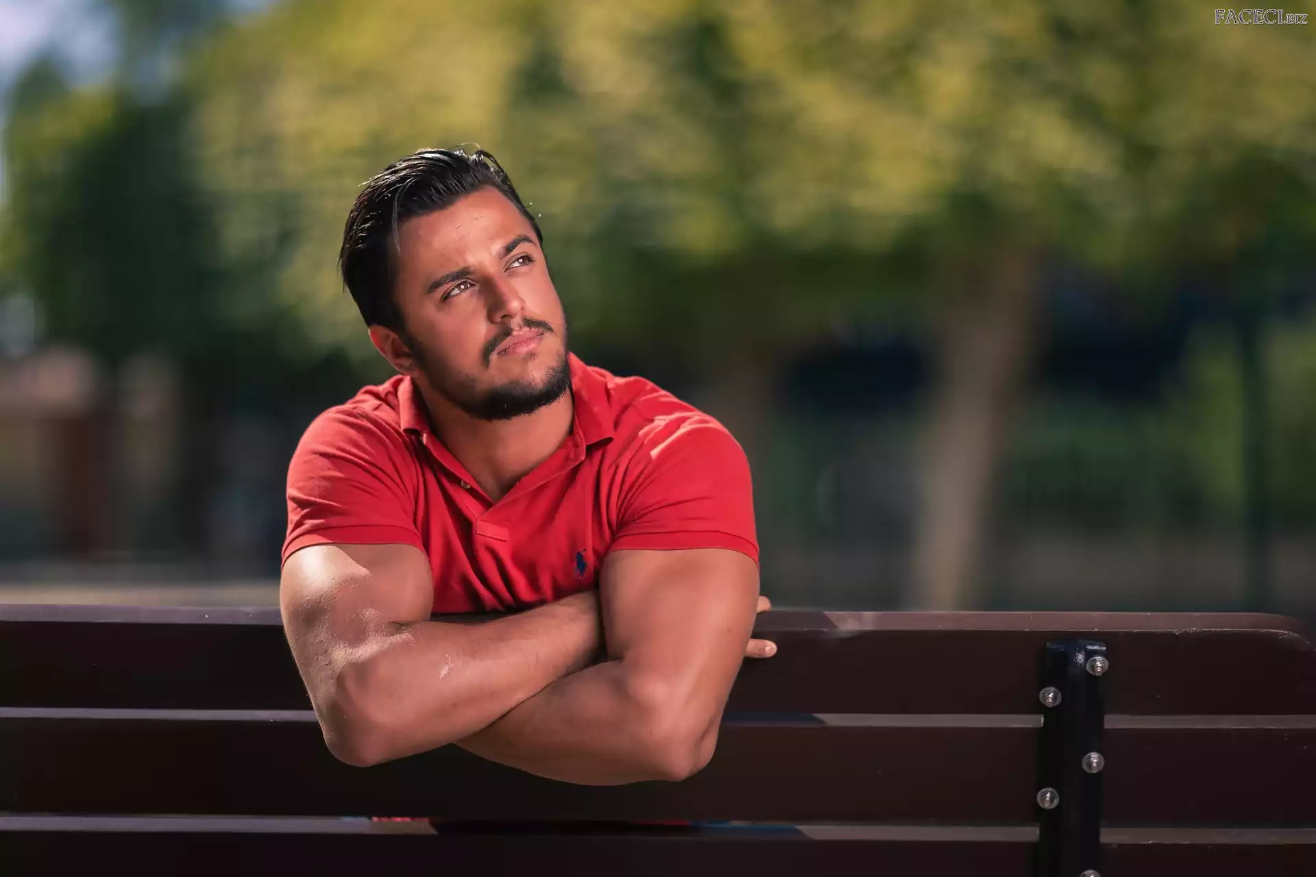 Ławka, Koszulka, Broda, Mężczyzna, Czerwona